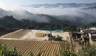 Yunnan: Arabica Supplier to the World?