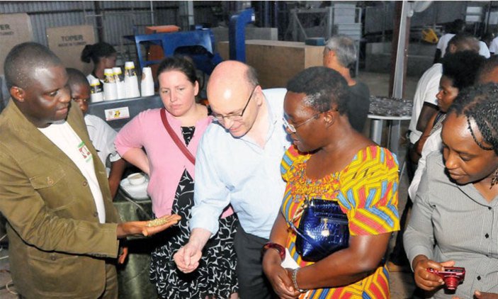 Uganda targets US coffee market