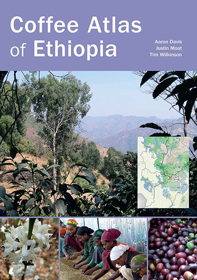Bellwether Ethiopia