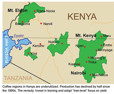 Kenya Shines - STiR Tea & Coffee Industry International - STiR is the ...