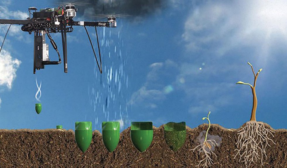 Drones Become Aerial Workhorses of Tea