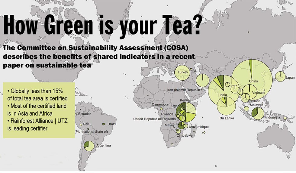 How Green is your Tea?