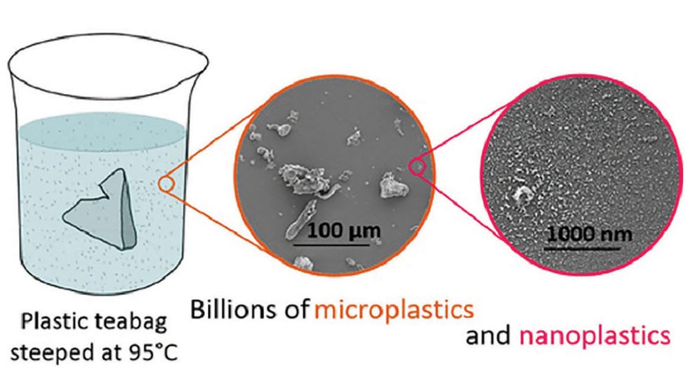 Tiny Plastic Particles Raise Big Concerns