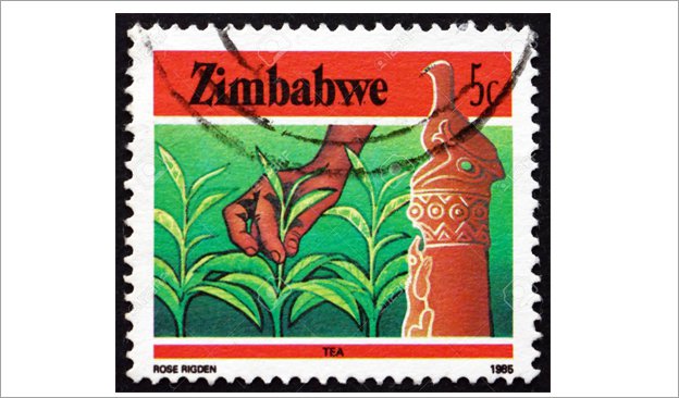 Newsletter-624x366-Zimbabwe-01.jpg
