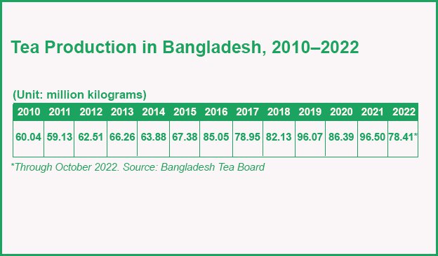 Bangladesh Set for Record High Output of Tea